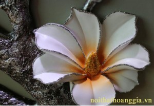 chim cong 5